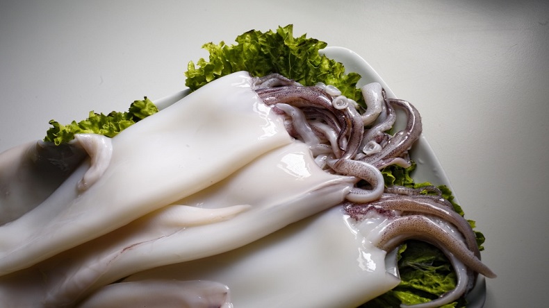 特斯特去皮魷魚專用保水劑S108
